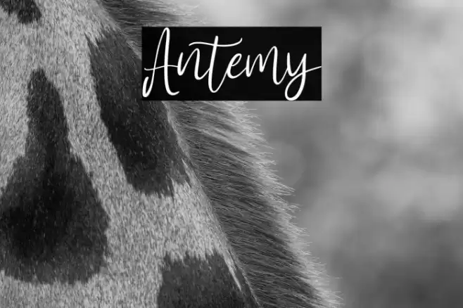 Antemy Font examples