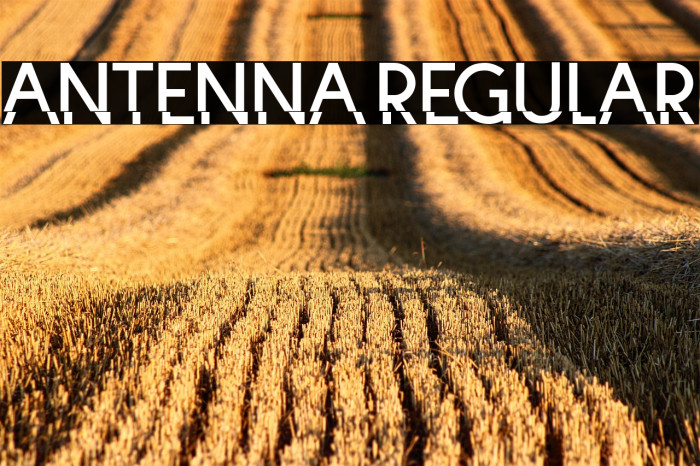 Antenna Regular Example 3