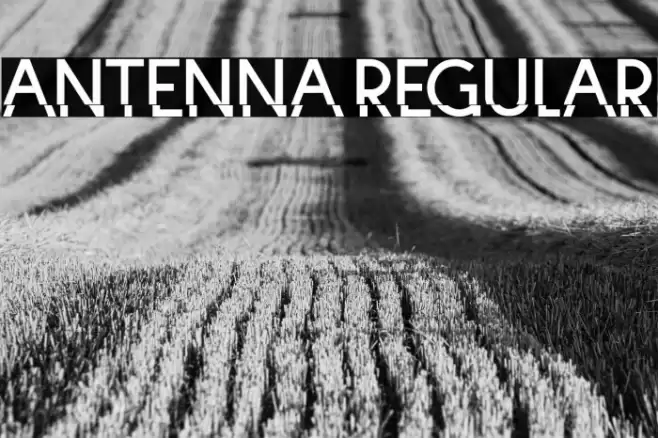 Antenna Regular Font examples
