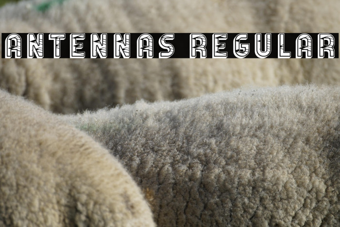 Antennas Regular Example 3