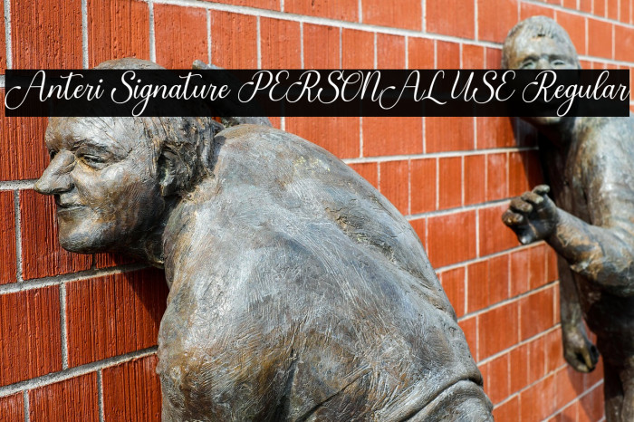 Anteri Signature PERSONAL USE Regular Example 1