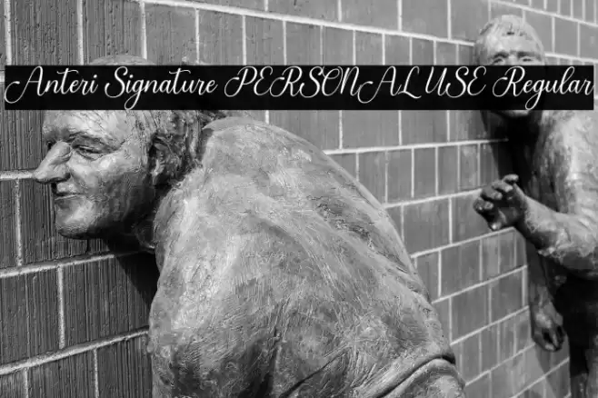 Anteri Signature PERSONAL USE Regular Font examples