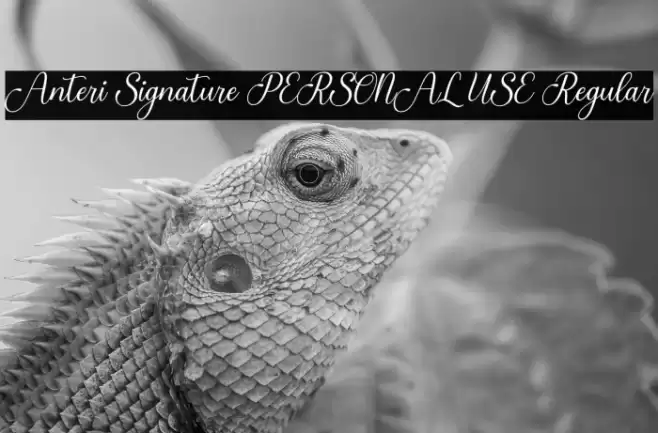 Anteri Signature PERSONAL USE Regular Font examples