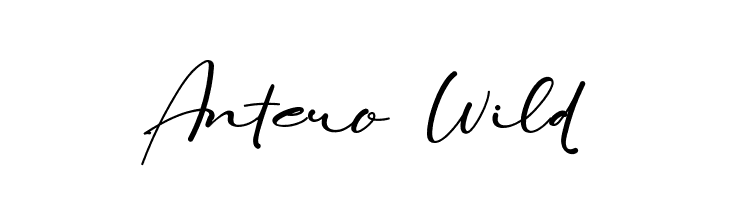 Antero Wild  免费字体下载