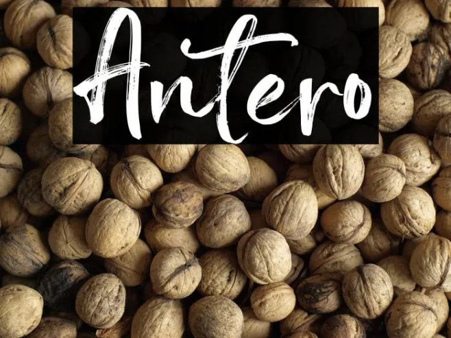 Antero Example 1