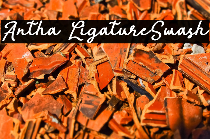 Antha LigatureSwash Example 1