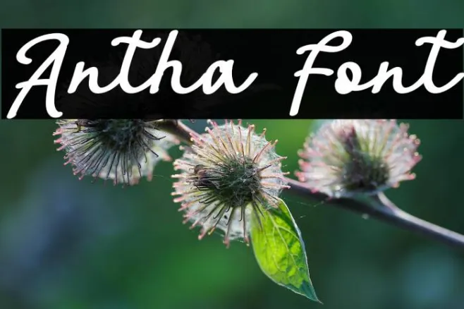 Antha Example 2