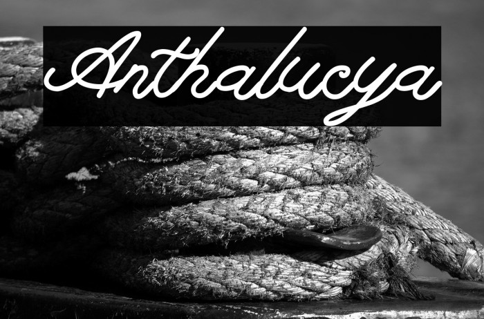 Anthalucya Example 2