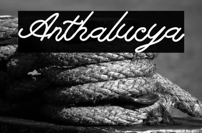 Anthalucya Example 2