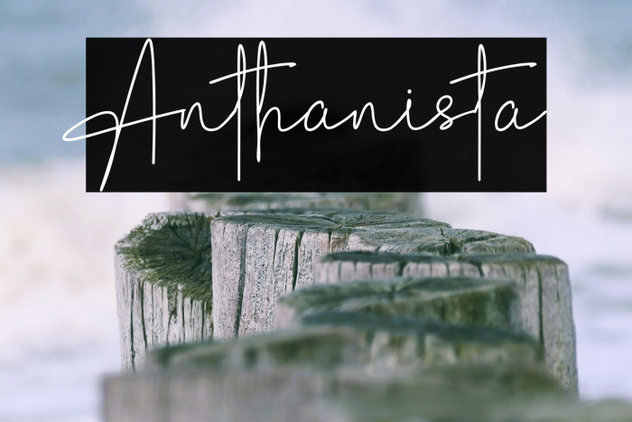 Anthanista Example 1