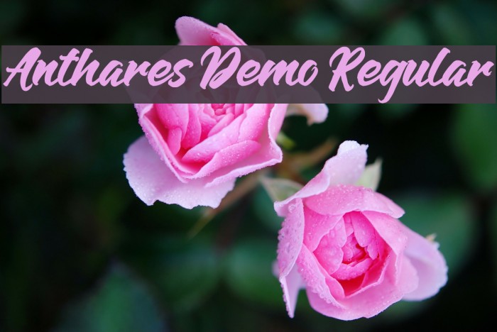 Anthares Demo Regular Font examples