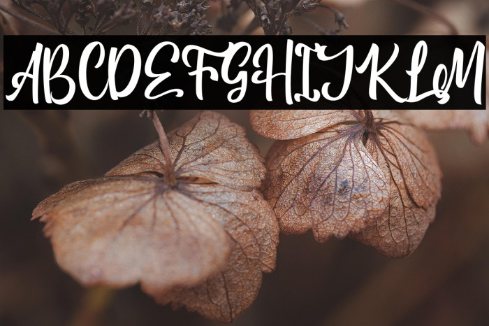 AntharisDemo Example 1