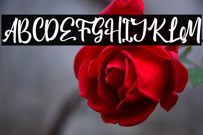 AntharisDemo Example 2