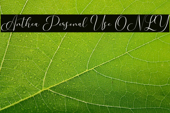 Anthea Personal Use ONLY Example 2