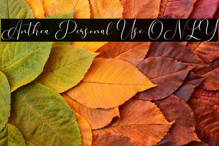 Anthea Personal Use ONLY Example 3