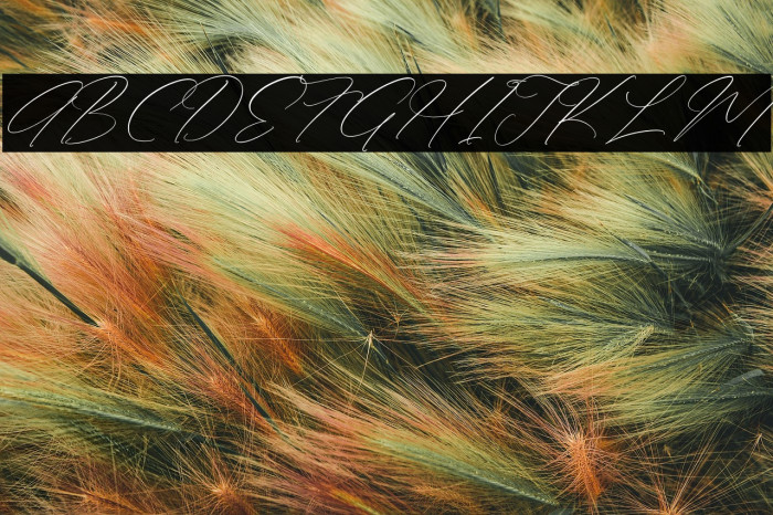 Anthellia DEMO VERSION Italic Example 2