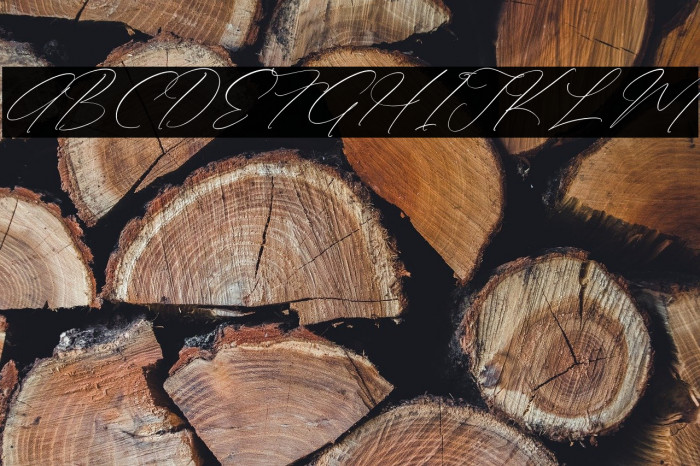 Anthellia DEMO VERSION Italic Example 3