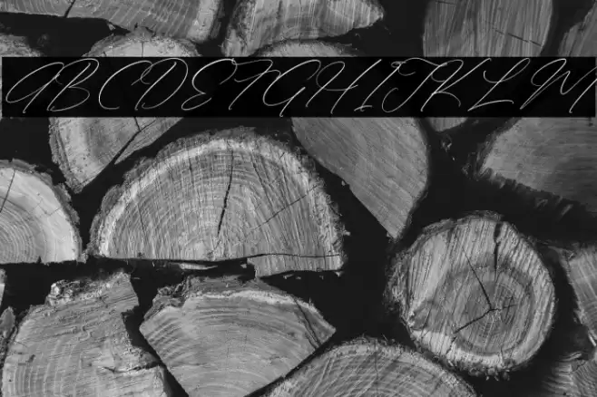 Anthellia DEMO VERSION Italic Fonte examples