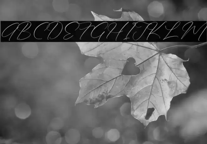 Anthellia DEMO VERSION Font examples