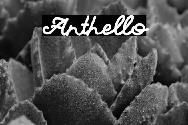 Anthello Font examples