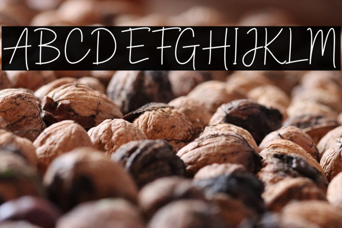 Anthem Minimalism script Example 2