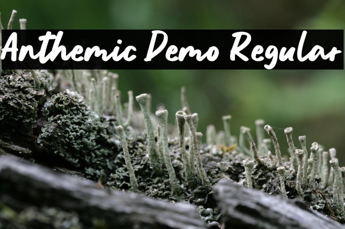 Anthemic Demo Regular Example 3