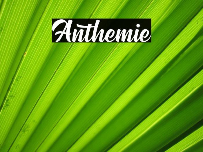 Anthemie Fonte examples