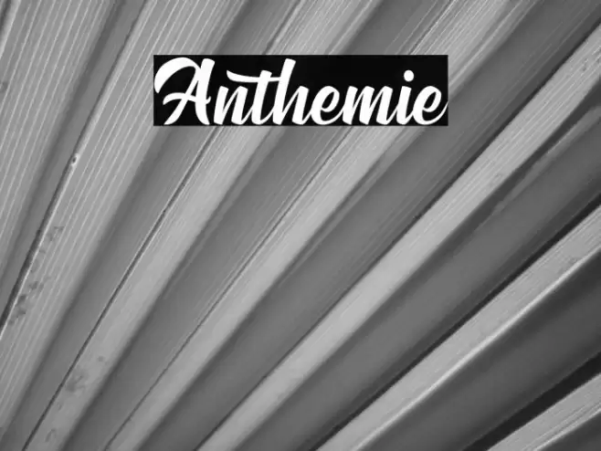 Anthemie Font examples