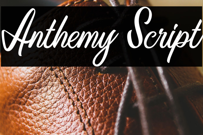 Anthemy Script Example 2