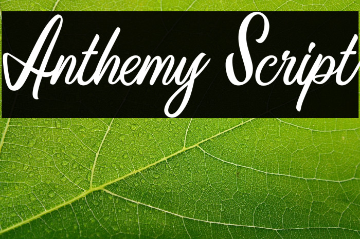 Anthemy Script Example 3