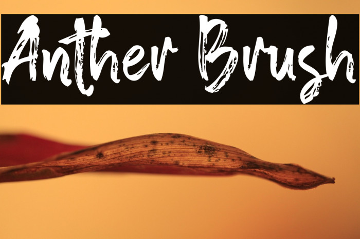 Anther Brush Example 3