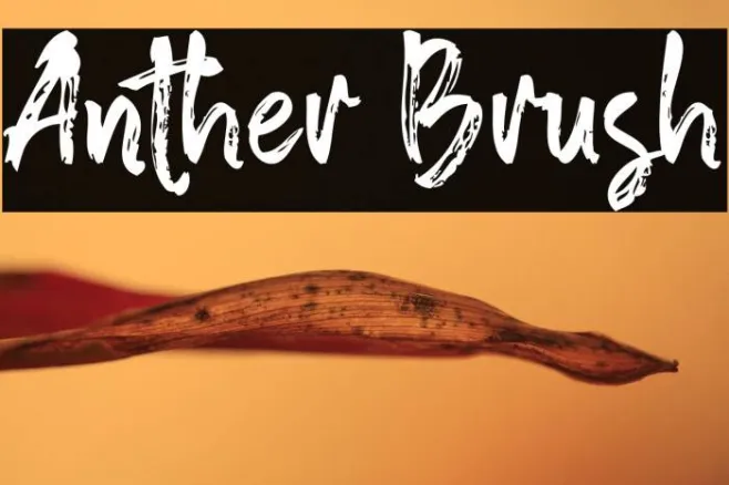 Anther Brush Example 3