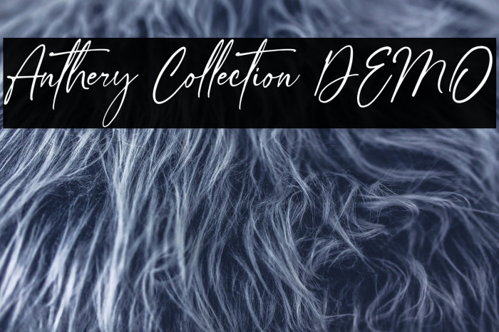 Anthery Collection DEMO Example 1