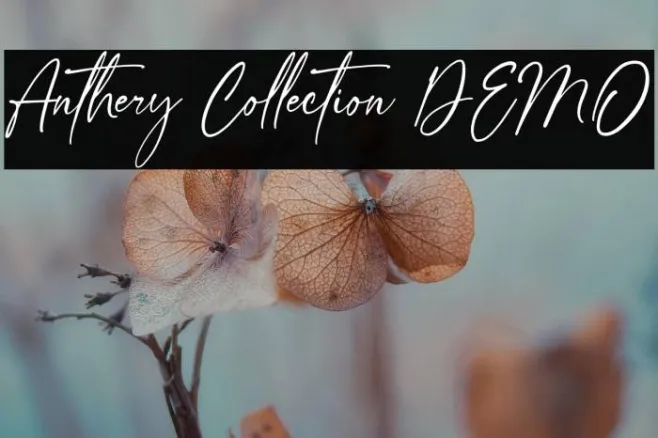 Anthery Collection DEMO Example 3