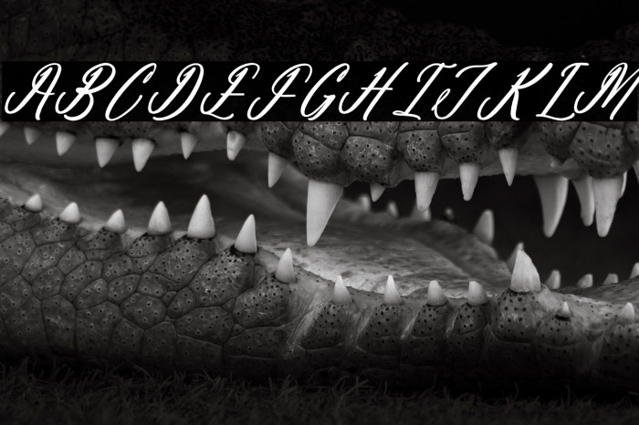 Antholia Riechgan DEMO VERSION Italic Example 2