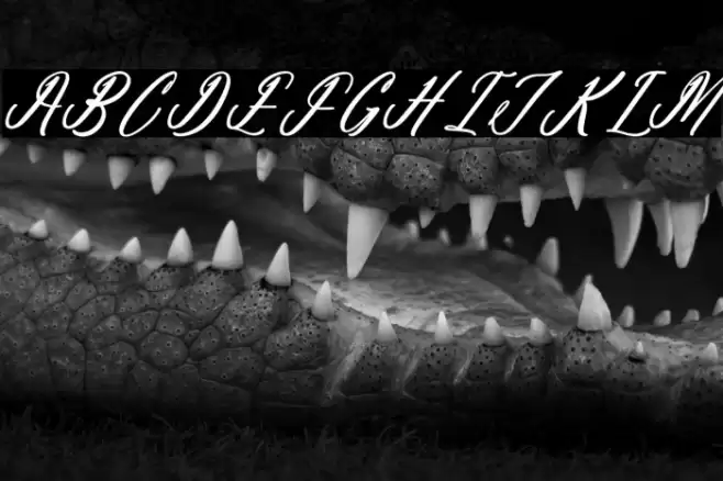 Antholia Riechgan DEMO VERSION Italic Fuentes examples