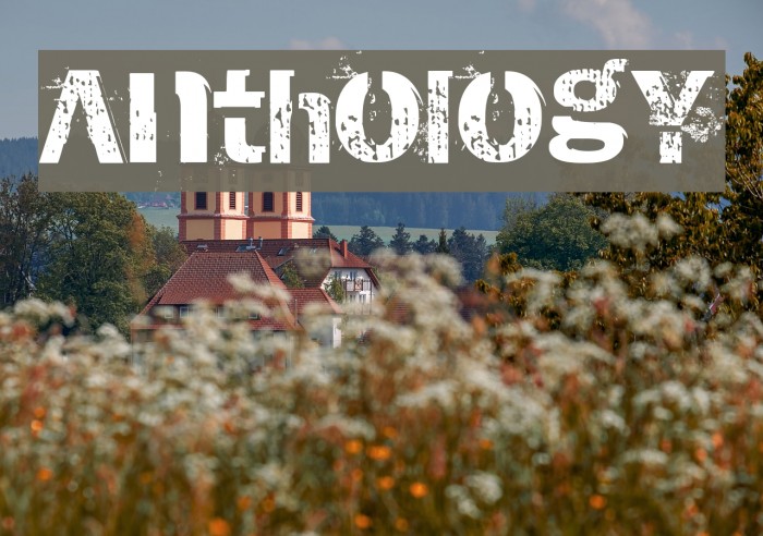 AnthologY Fuentes examples