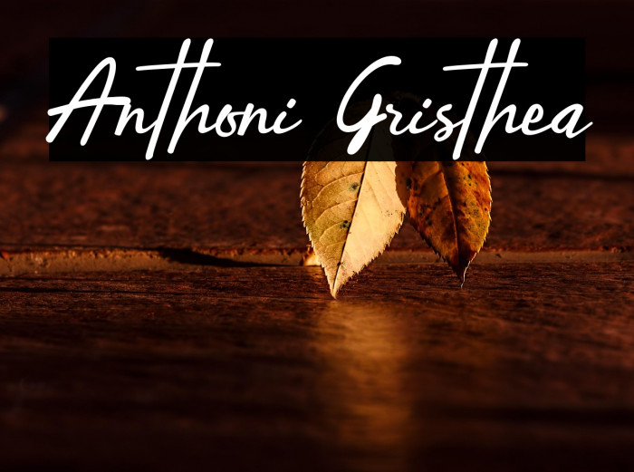 Anthoni Gristhea Example 1