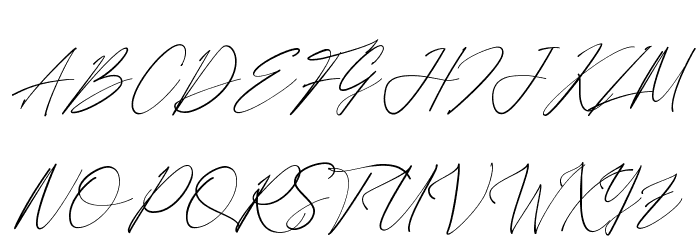 Anthoni Signature Font OTHER CHARS