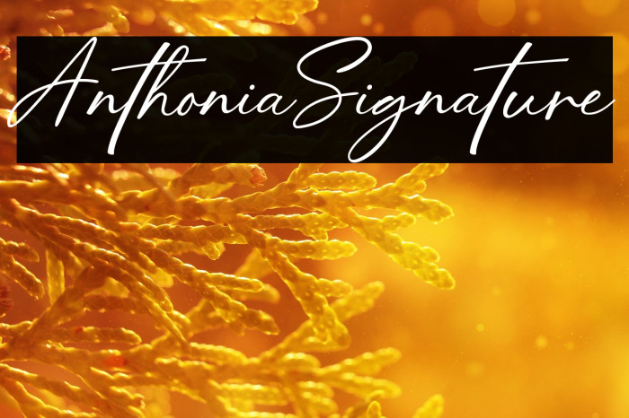 AnthoniaSignature Example 3