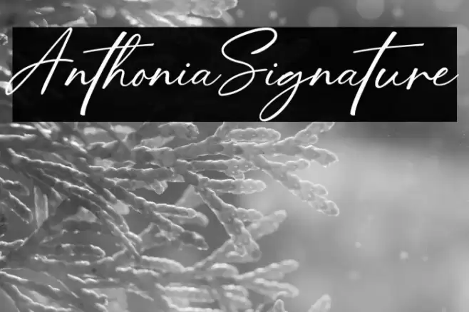AnthoniaSignature Font examples
