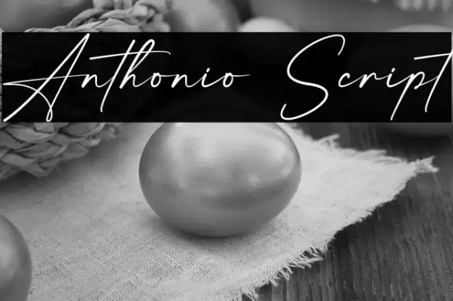 Anthonio Script Font examples