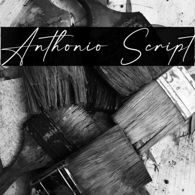 Anthonio Script Font examples