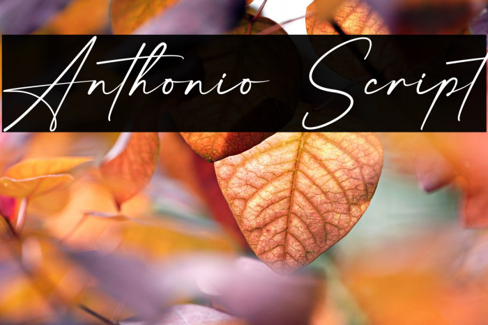 Anthonio Script Example 3