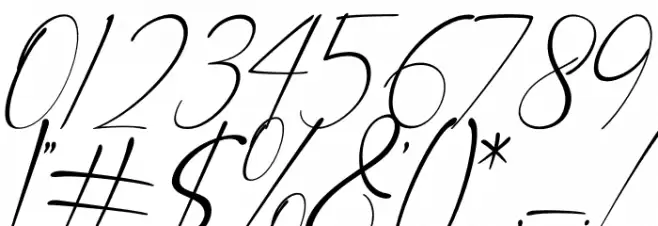 Anthony Hartman Italic Font OTHER CHARS