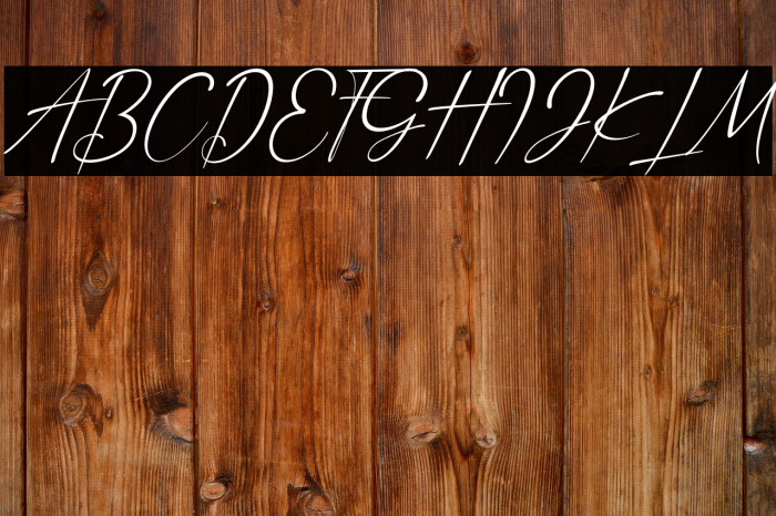 Anthony Hartman Italic Example 3