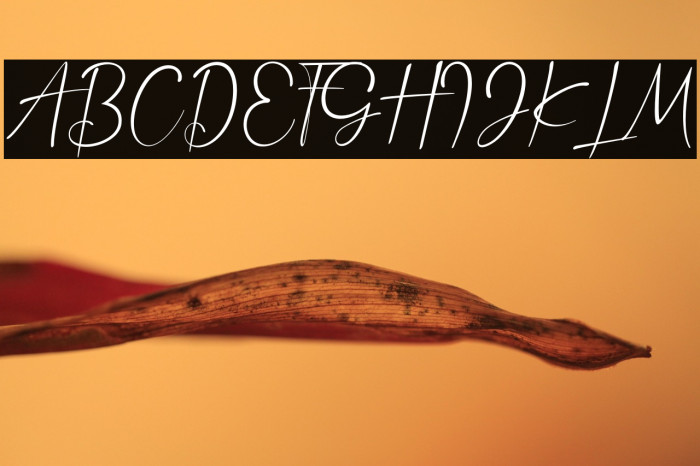 Anthony Hartman Example 1