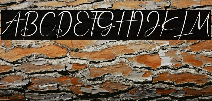 Anthony Hartman Example 3