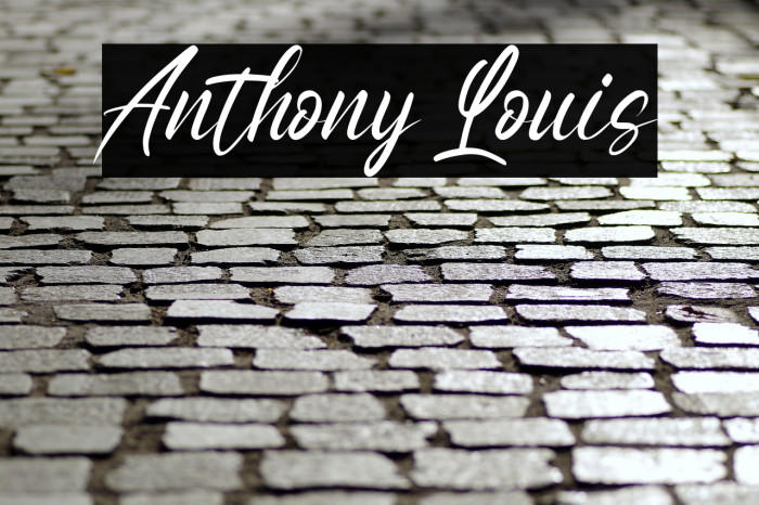 Anthony Louis Example 1