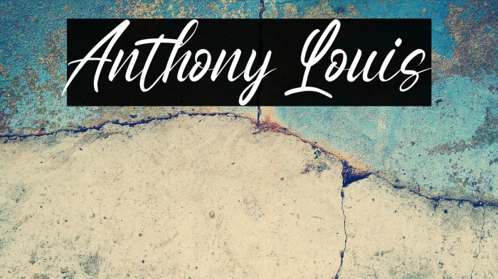 Anthony Louis Example 2